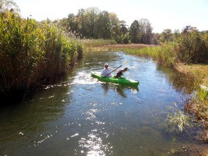 kayaking